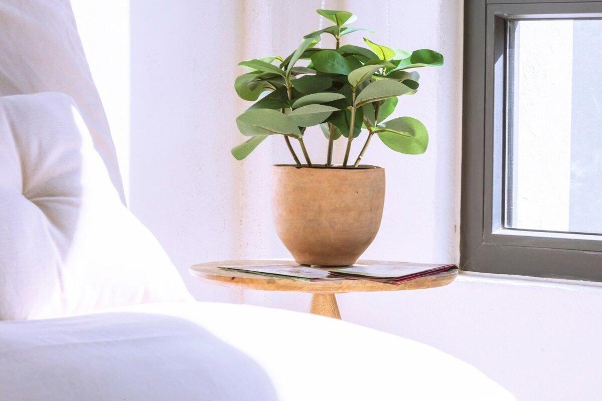 Exclusivo Loft A Pasos Del Zocalo No Lo Pierdas Мехико Экстерьер фото