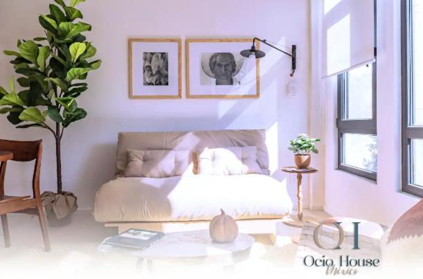 Exclusivo Loft A Pasos Del Zocalo No Lo Pierdas Мехико Экстерьер фото